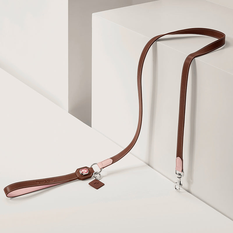 OLYMPUS LEATHER LEASH - CARAMEL - MarsMail