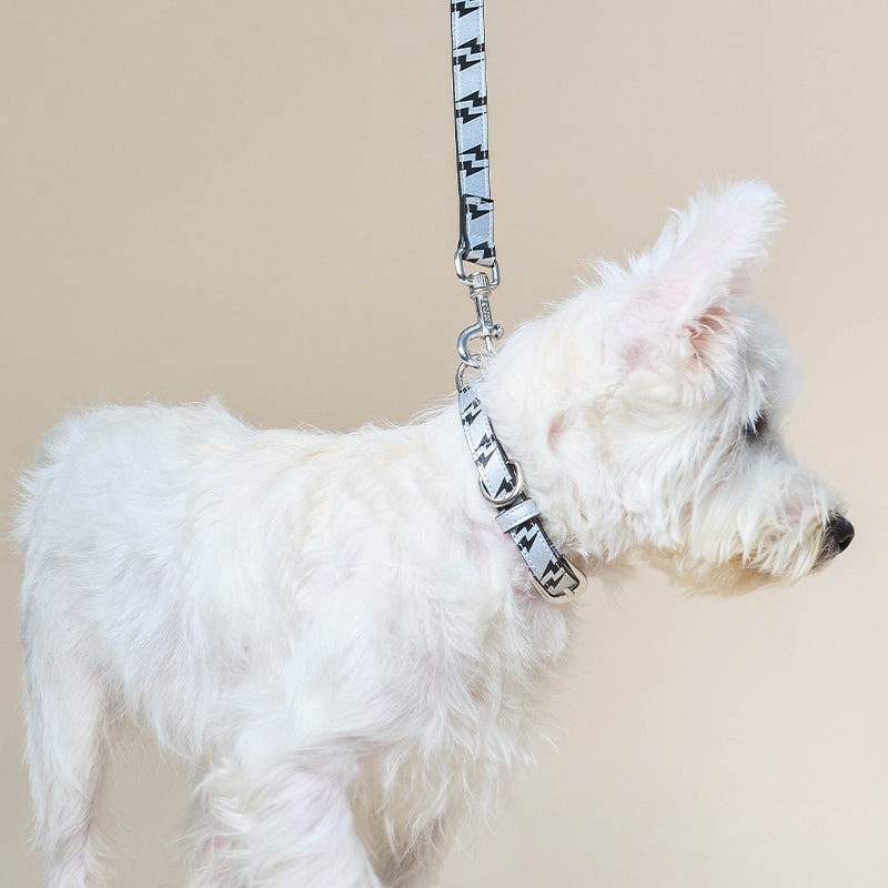 UTOPIA LEATHER LEASH - BOLT PRINT - SHINY SILVER
