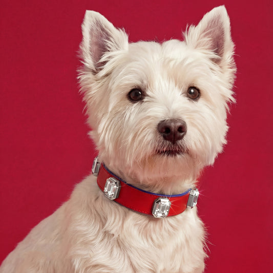 Olympus Crystal Leather Collar - Carmine