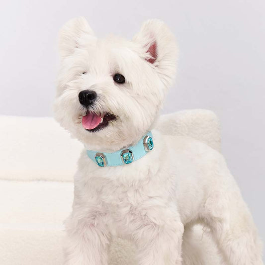 Olympus Crystal Leather Collar - Coral Blue