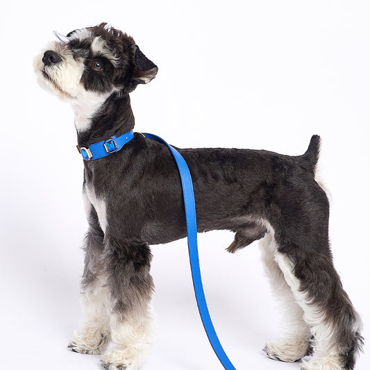 Olympus Crystal Leather Collar - Cosmos Blue