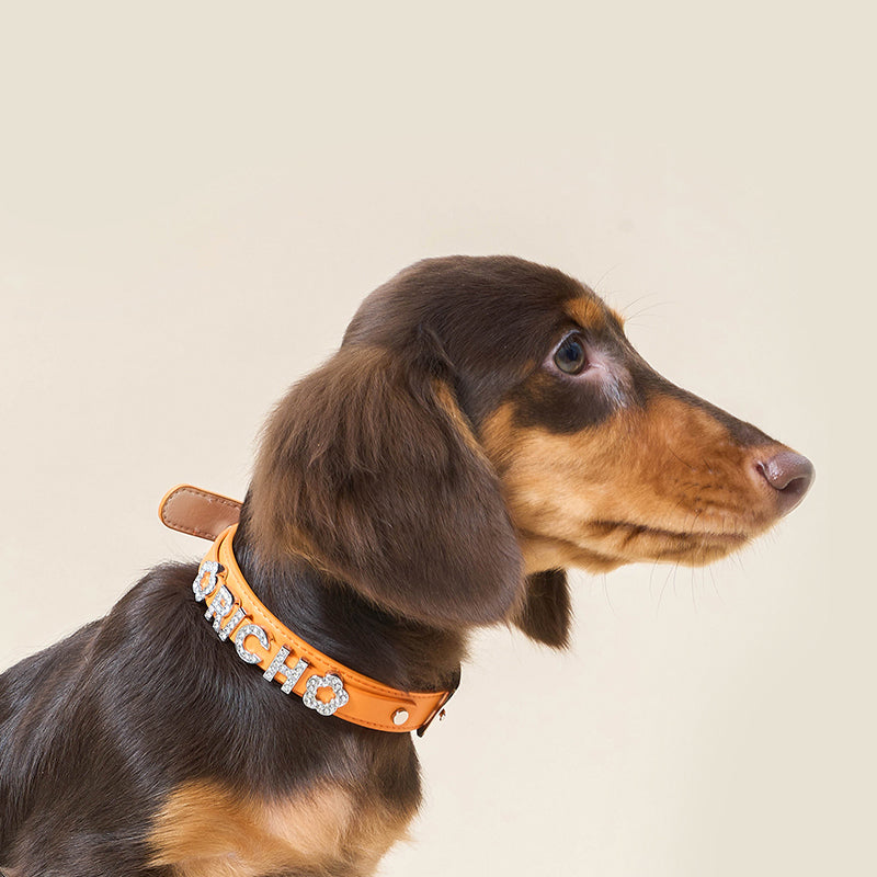 UTOPIA LEATHER COLLAR - BESPOKE ALPHABET CHARM