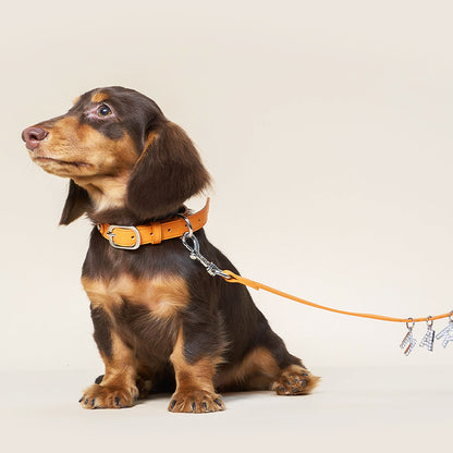 UTOPIA LEATHER LEASH - LOGO CHARM - ORANGE