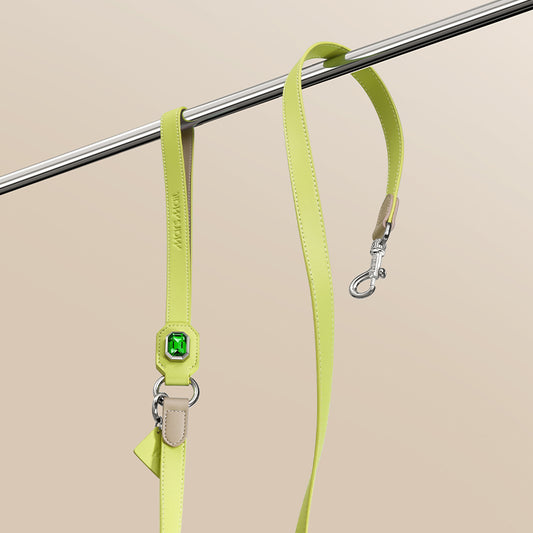 OLYMPUS LEATHER LEASH - BAMBOO GREEN - MarsMail