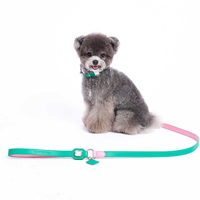 OLYMPUS LEATHER LEASH - GREEN & PINK