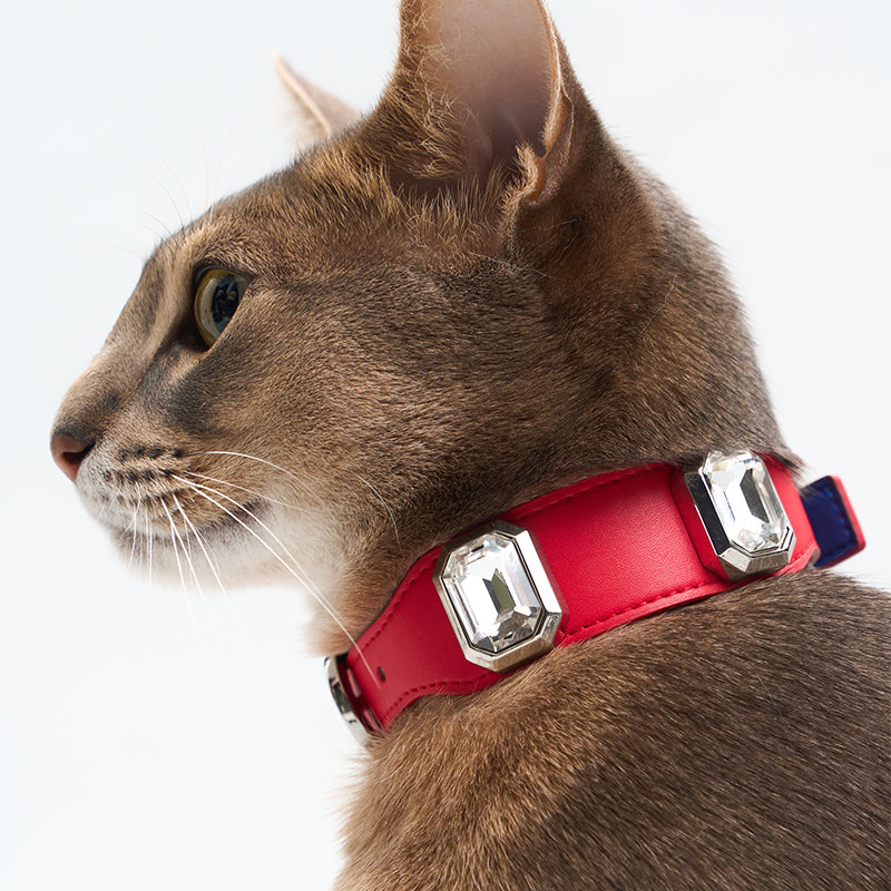 OLYMPUS LEATHER COLLAR - CARMINE