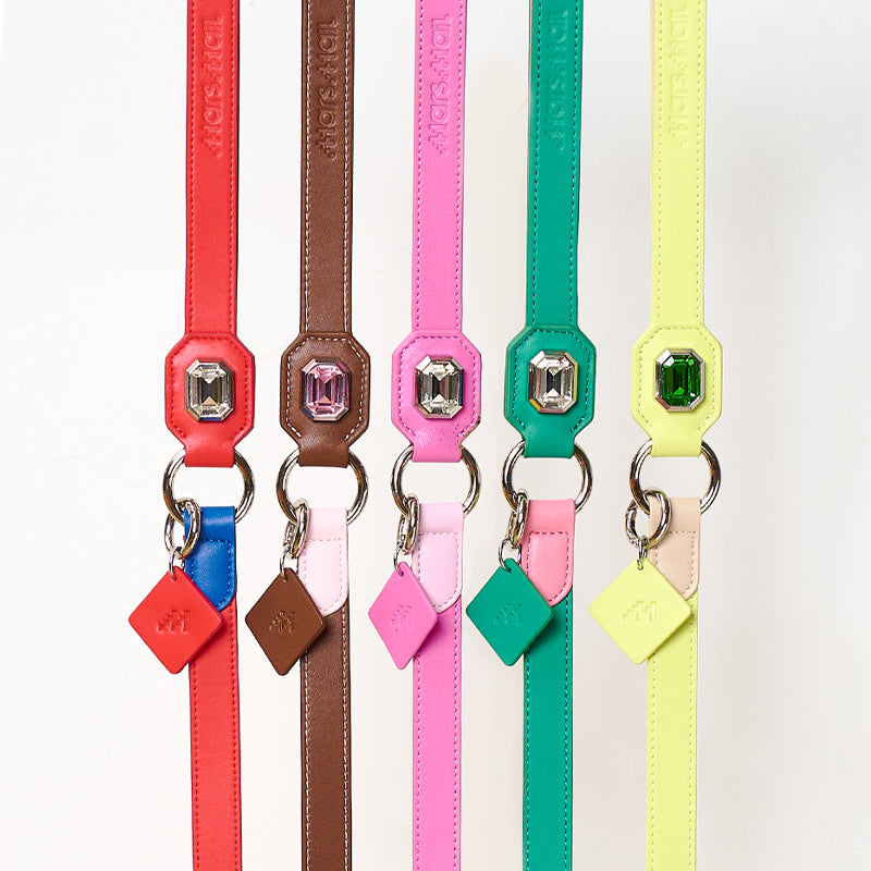 OLYMPUS LEATHER LEASH - GREEN & PINK