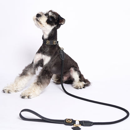 OLYMPUS LEATHER COLLAR - OBSIDIAN