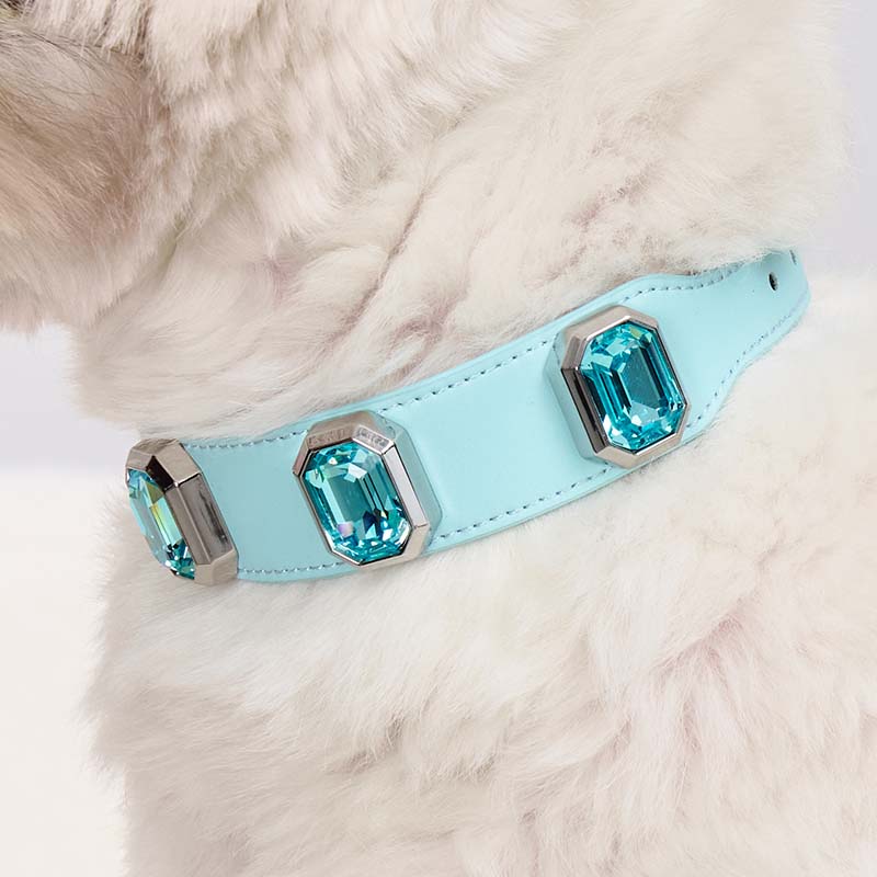 Olympus Crystal Leather Collar - Coral Blue