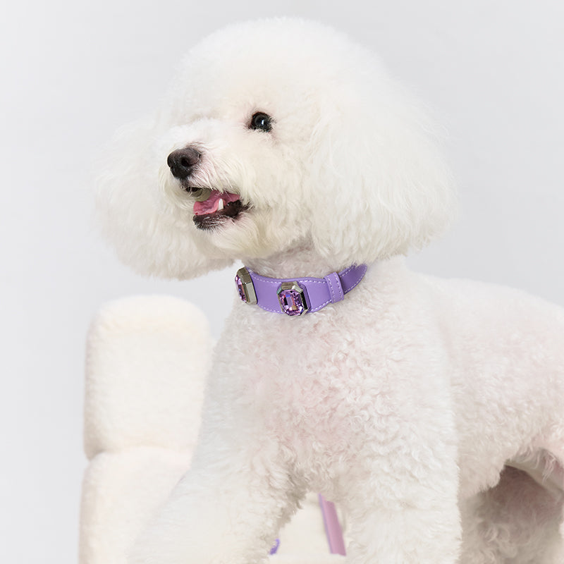 Olympus Crystal Leather Collar - Mystic Purple