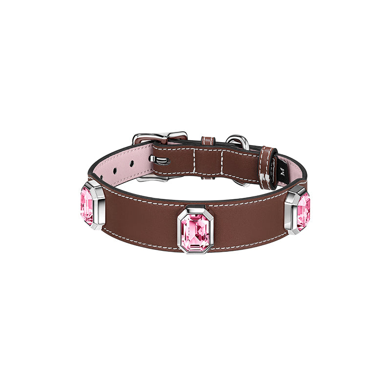 Olympus Crystal Leather Dog Walk Kit  - Caramel