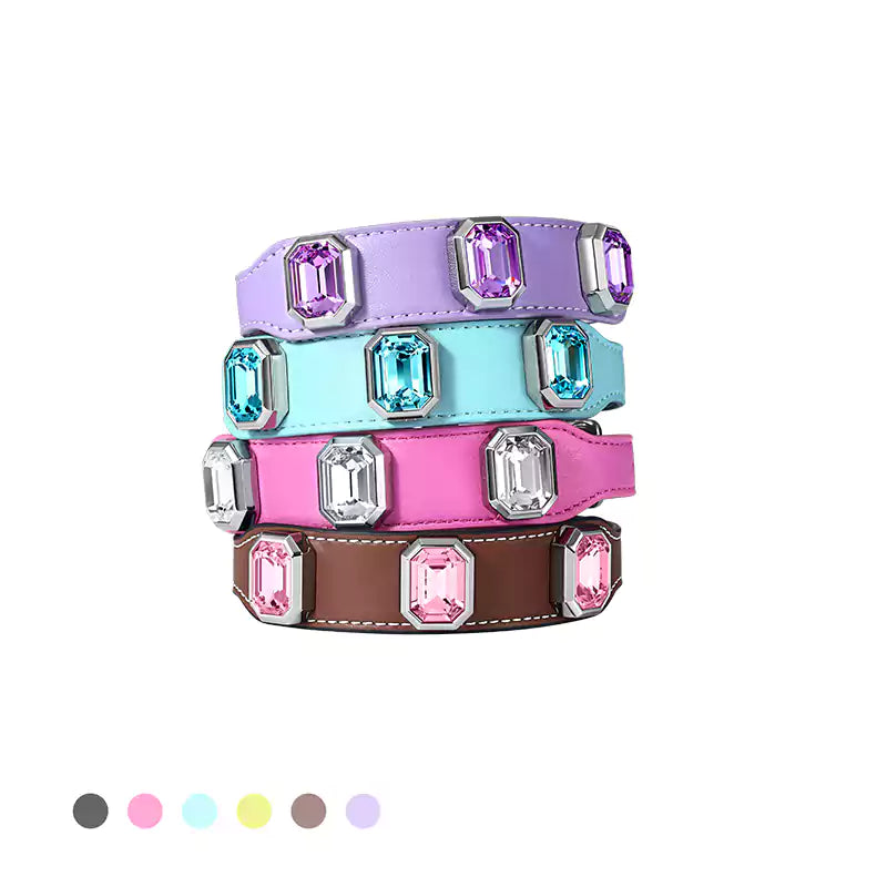 Olympus Leather Crystal Collar - All The Colors