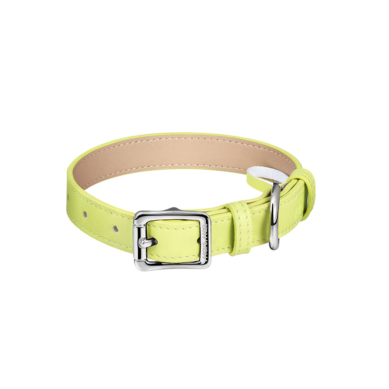 UTOPIA colorful leather dog collar