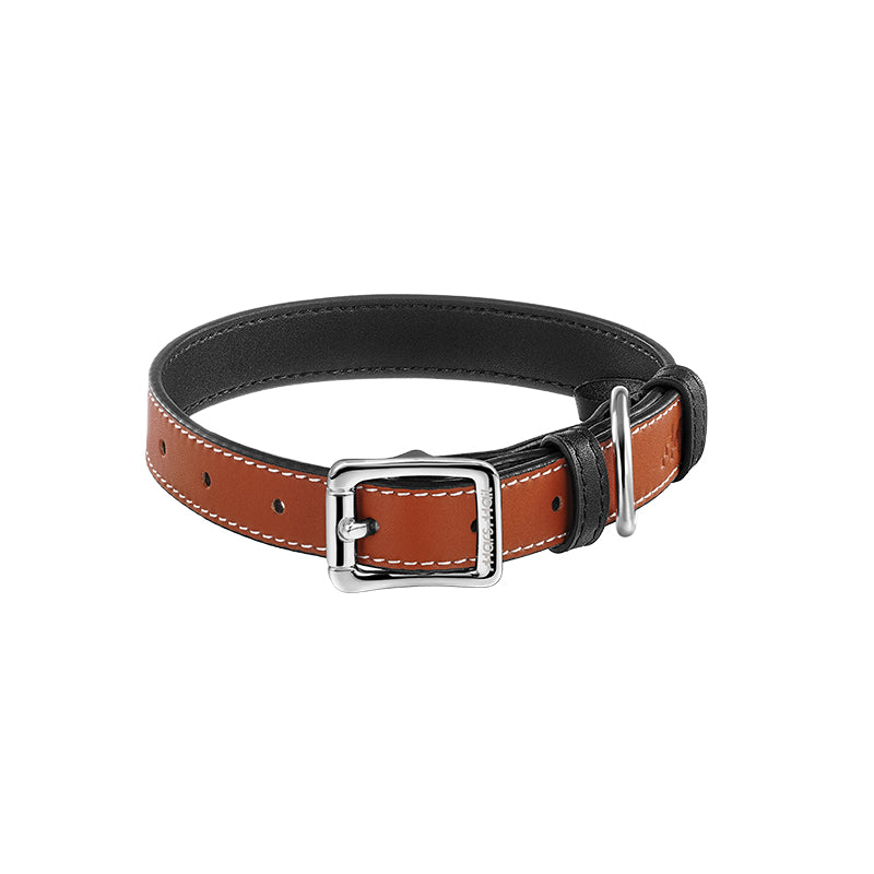 UTOPIA colorful leather dog collar