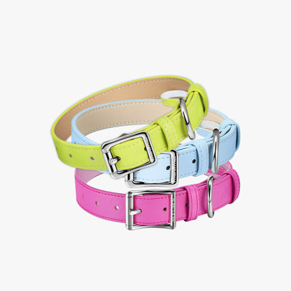 UTOPIA colorful leather dog collar